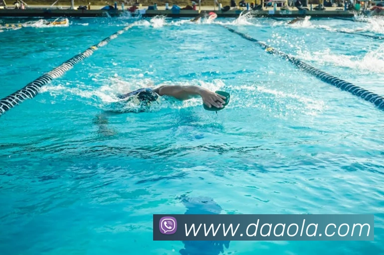 世界杯平台官网登录发展历程